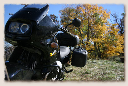 Moto Guzzi front view